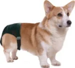 Läufigkeitshose für Hunde mit 1 Saugeinlage, Bauchumfang 16 bis 23 cm – Pawise Sanitary Pants XS – Bild 2