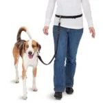 Freihandleine für Hunde zum Joggen mit elastischem Leinenende – Pawise Hands Free Doggy Jogger Kit – Bild 3