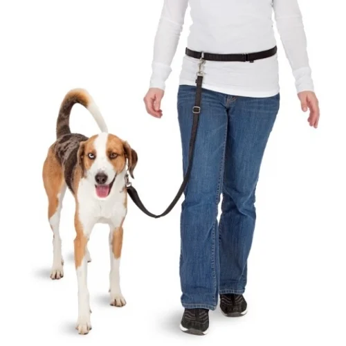 Freihandleine für Hunde zum Joggen mit elastischem Leinenende – Pawise Hands Free Doggy Jogger Kit – Bild 3