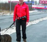 Freihandleine für Hunde zum Joggen mit elastischem Leinenende – Pawise Hands Free Doggy Jogger Kit – Bild 4
