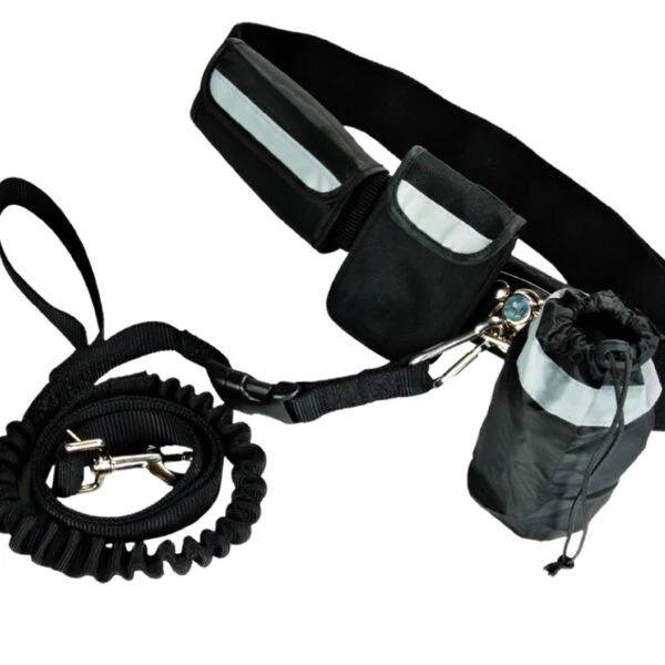 Freihandleine für Hunde zum Joggen mit elastischem Leinenende – Pawise Hands Free Doggy Jogger Kit