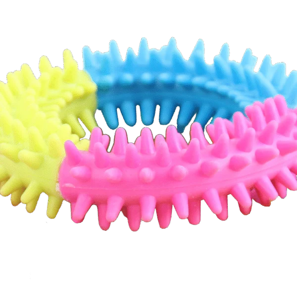 Hundespielring in Regenbogenfarben – Pawise Rainbow World Ring L