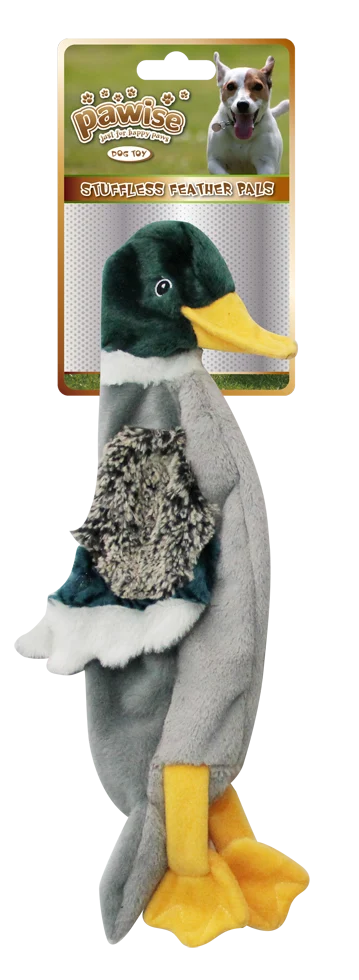 Hundespielzeug Ente S, ungefüllt, mit Quietscher, 30 cm – Pawise Stuffless Feather Pals – Bild 1
