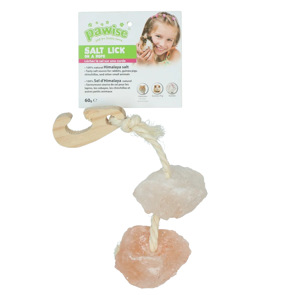 Himalaya Salzleckstein mit Seil – Pawise Himalayan Salt On A Rope – Bild 2