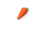 Knabberspielzeug für Kaninchen und Nagetiere, bunt – Pawise Play & Chew Carrot