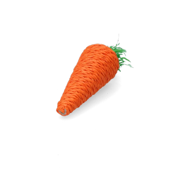 Knabberspielzeug für Kaninchen und Nagetiere, bunt – Pawise Play & Chew Carrot