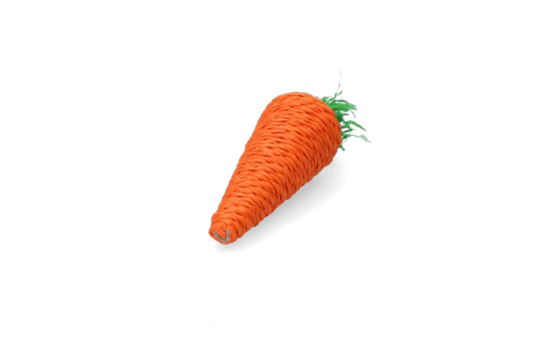 Knabberspielzeug für Kaninchen und Nagetiere, bunt – Pawise Play & Chew Carrot
