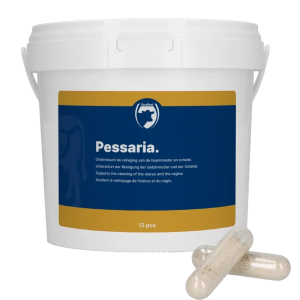 Pessarkapseln mit Kräutern, 12 Stück – Excellent Pessaria Capsule