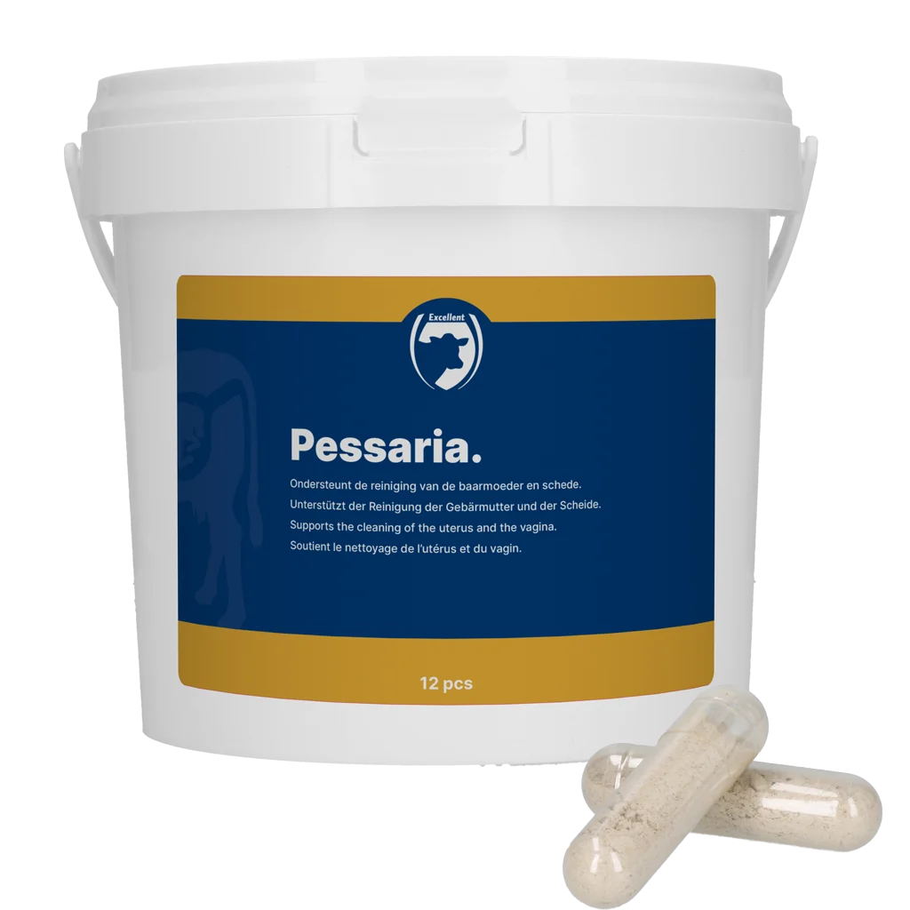 PESS0010.png Pessarkapseln mit Kräutern, 12 Stück – Excellent Pessaria Capsule – Bild 1