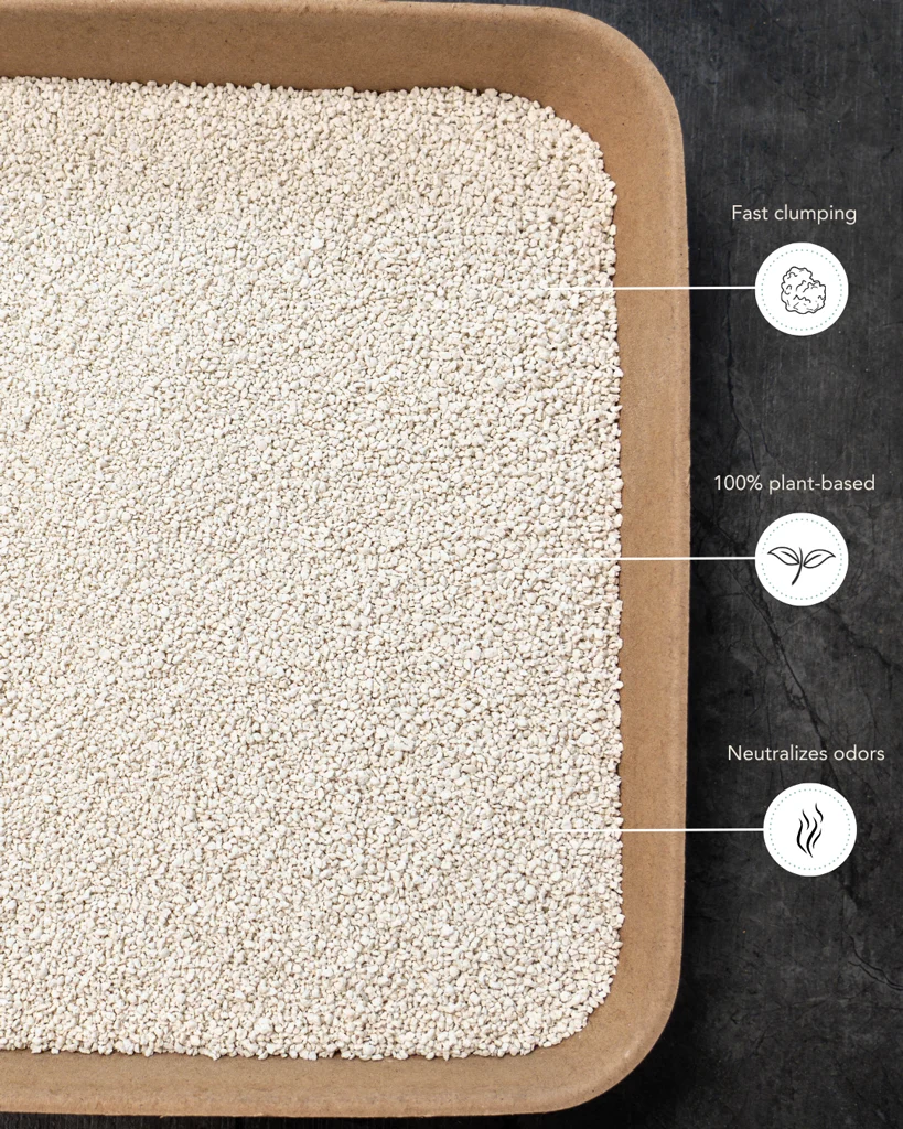 Tofu Katzenstreu für automatische Katzentoiletten, klumpend, 3,5 kg – Petlux Cassava Tofu – Bild 4