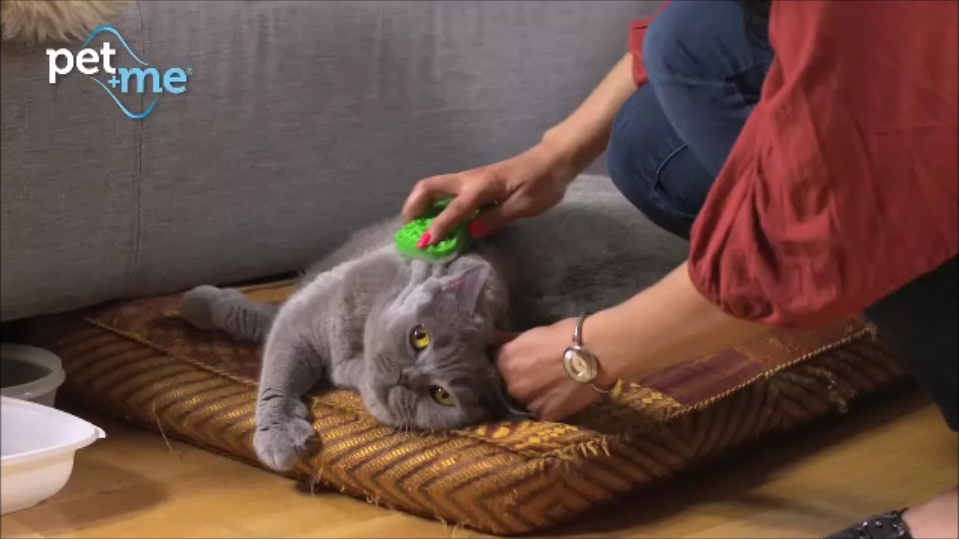 Silikon Katzenbürste für Langhaar, Grün – Pet + Me Cat Hair Brush – Bild 5