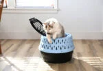Runde Transportbox für Katzen mit Öffnung oben, blau – Petmate Get-A-Round Kennel – Bild 5
