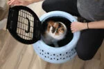 Runde Transportbox für Katzen mit Öffnung oben, blau – Petmate Get-A-Round Kennel – Bild 6