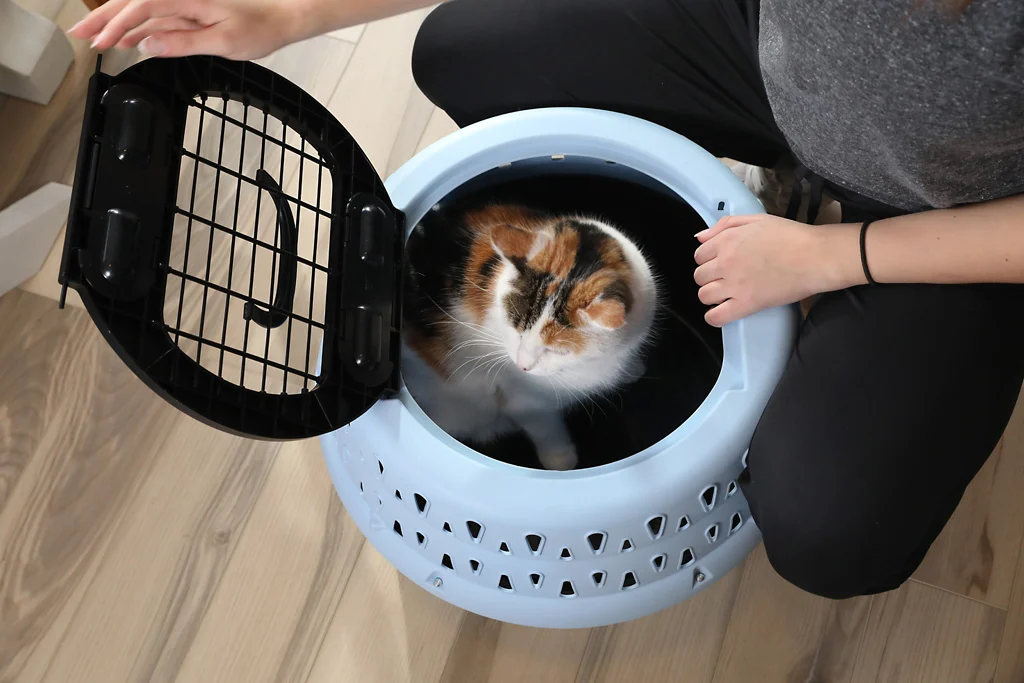 Runde Transportbox für Katzen mit Öffnung oben, blau – Petmate Get-A-Round Kennel – Bild 6