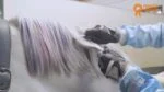 Haarkreide für Pferde, Regenbogenfarben, 6 Stück – Paardenpraat TV Regenbogen Haarkreide – Bild 2