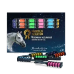 Haarkreide für Pferde, Regenbogenfarben, 6 Stück – Paardenpraat TV Regenbogen Haarkreide