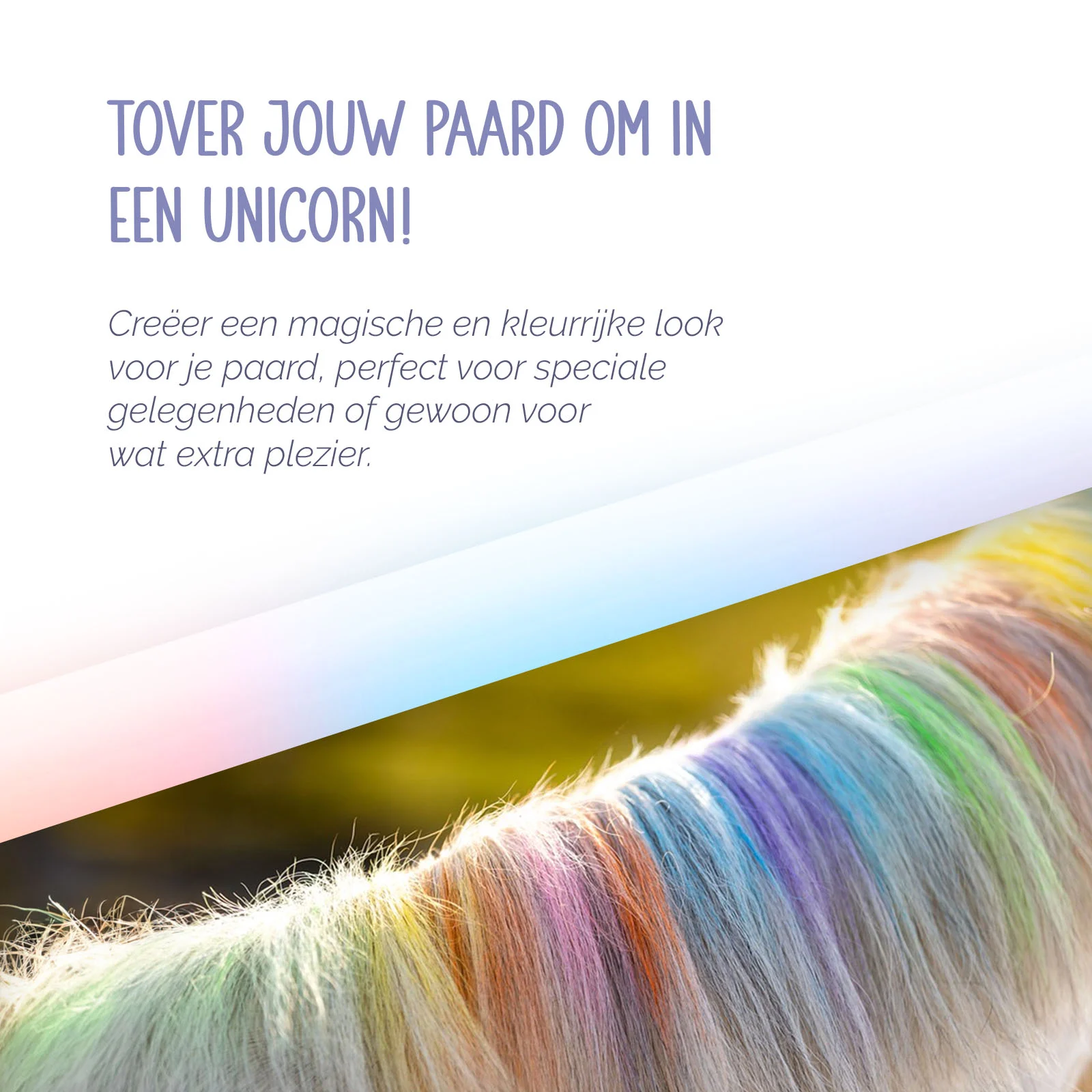 Haarkreide für Pferde, Regenbogenfarben, 6 Stück – Paardenpraat TV Regenbogen Haarkreide – Bild 6