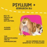 Flohsamenschalenpulver für Hunde, 100 g – Excellent Pets Dog Psyllium+ – Bild 6