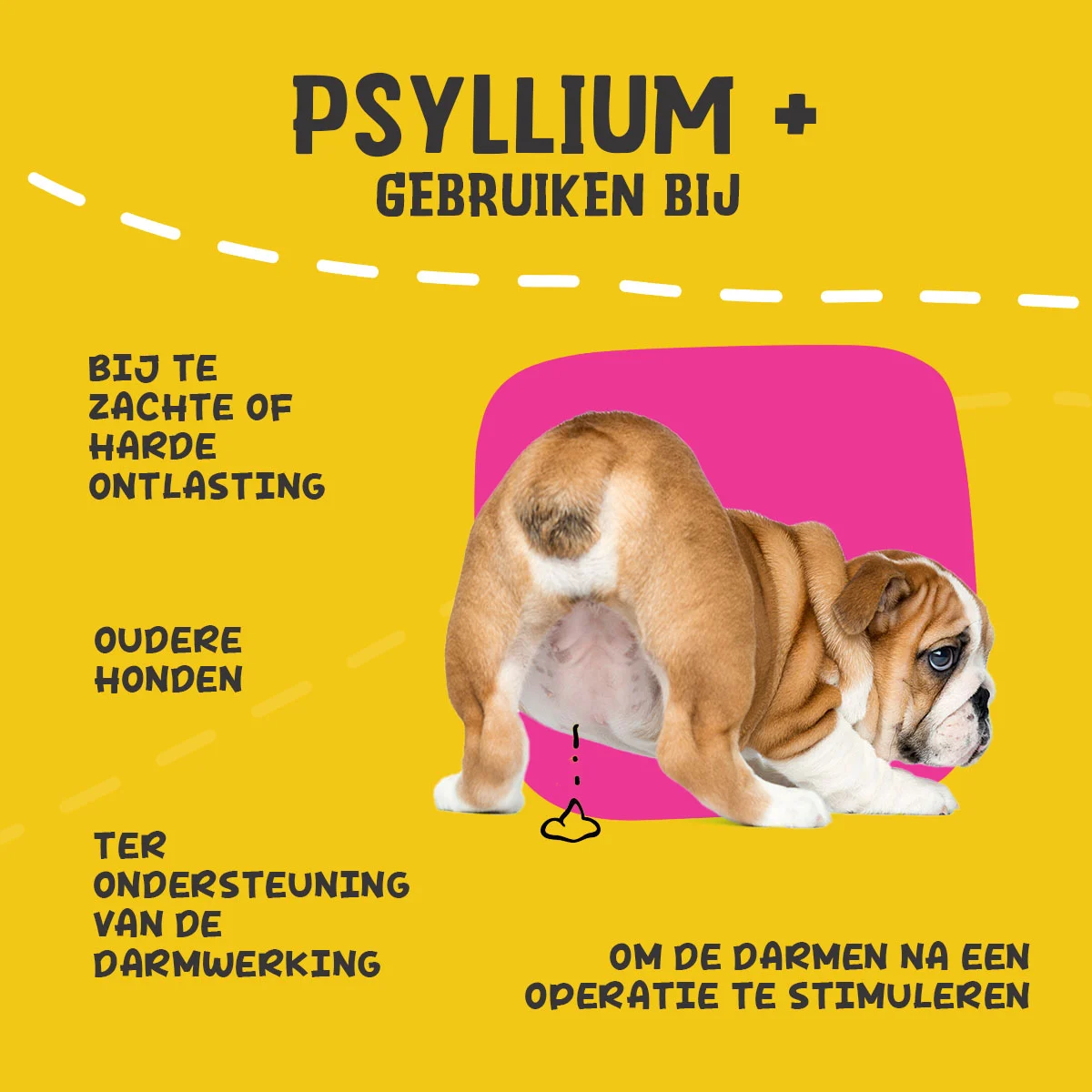 Flohsamenschalenpulver für Hunde, 100 g – Excellent Pets Dog Psyllium+ – Bild 6