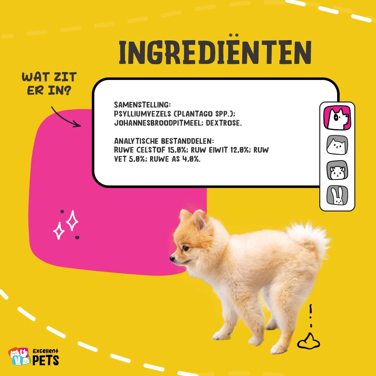 Flohsamenschalenpulver für Hunde, 100 g – Excellent Pets Dog Psyllium+ – Bild 4