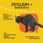 Flohsamenpulver für Katzen mit Johannisbrotkernmehl, 100 g – Excellent Pets Cat Psyllium+ – Bild 6