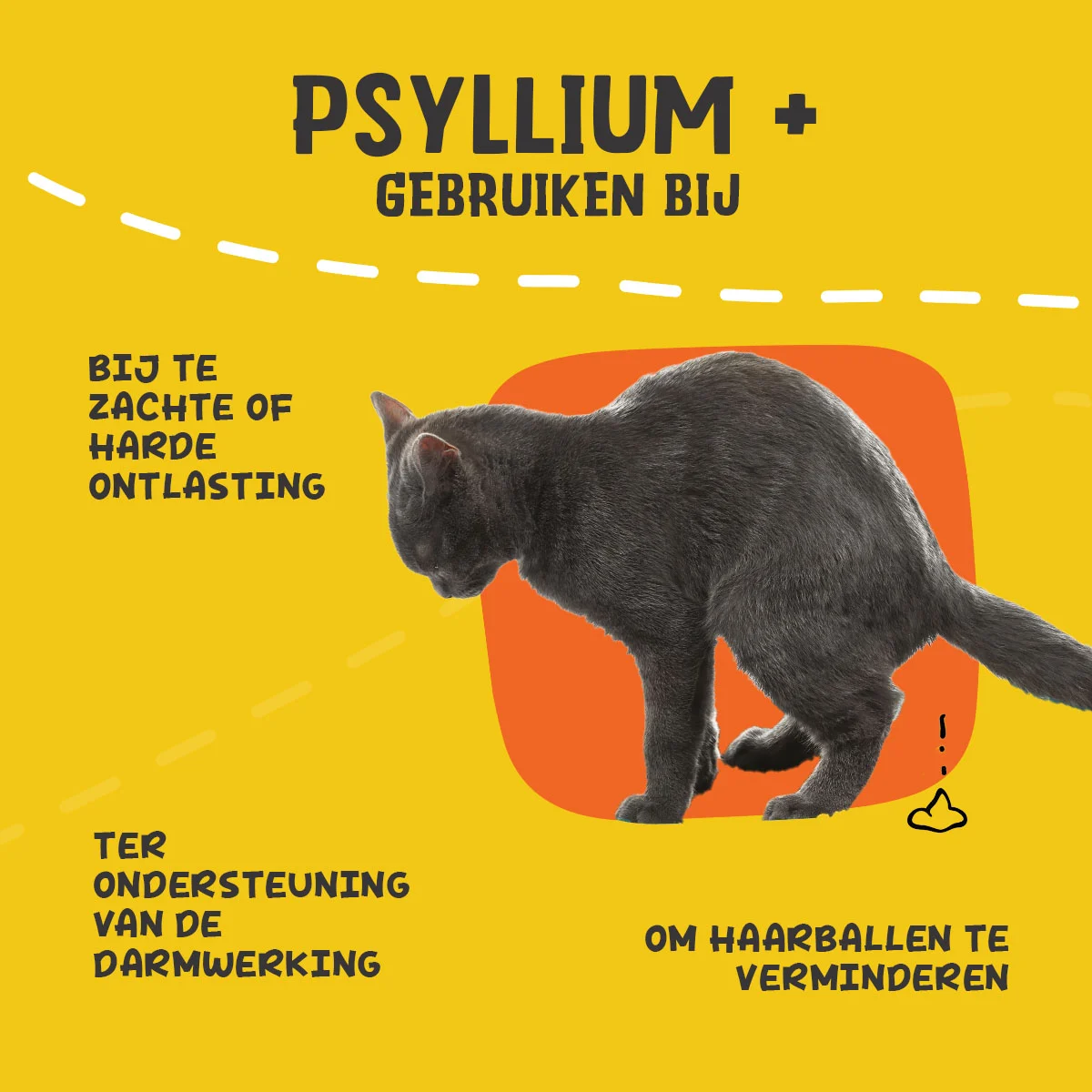 Flohsamenpulver für Katzen mit Johannisbrotkernmehl, 100 g – Excellent Pets Cat Psyllium+ – Bild 6