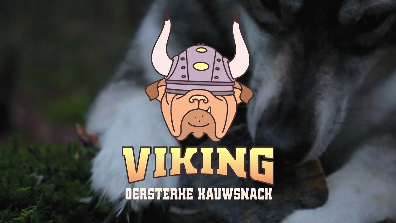 Rinderhorn für Hunde von 1 bis 4 kg – Viking Horn Whole S – Bild 2