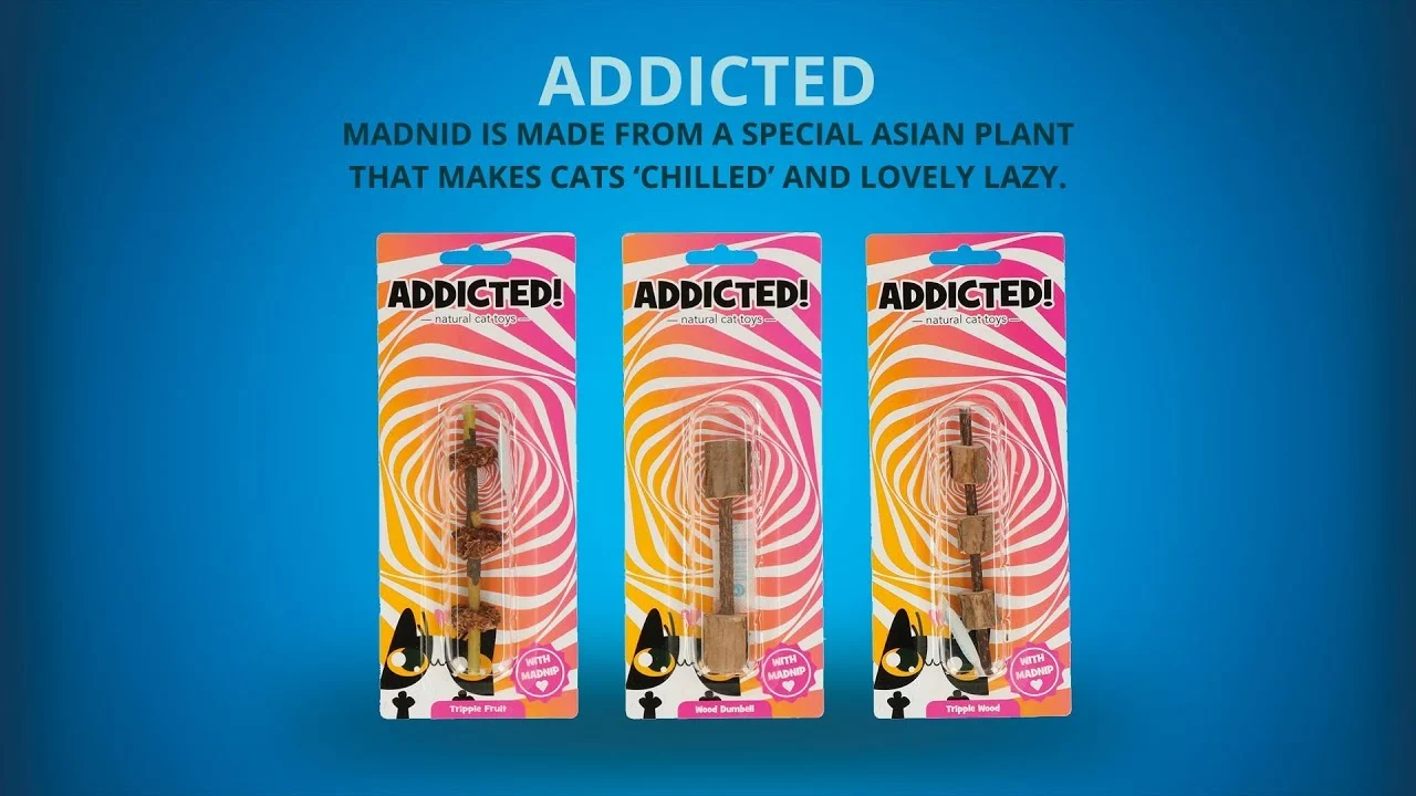 Hölzernes Katzenspielzeug mit MADNIP – Addicted! Triple Wood – Bild 6