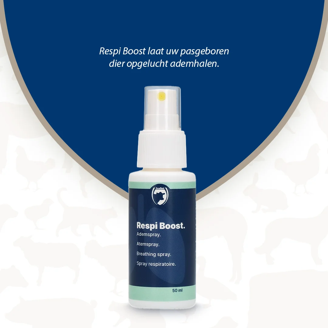 Atemspray für neugeborene Tiere, 50 ml – Excellent Respi Boost – Bild 2