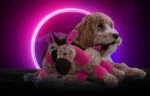 Hundekuscheltier Esel mit Quietscher, Rosa S, 20 x 25 cm – Retro Dog Donkey – Bild 4