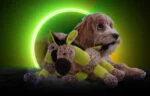 Hundeplüschtier Esel mit Quietscher, Gelb S – Retro Dog Donkey – Bild 4