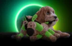 Hundekuscheltier Esel mit Quietscher, Grün S – Retro Dog Donkey – Bild 4