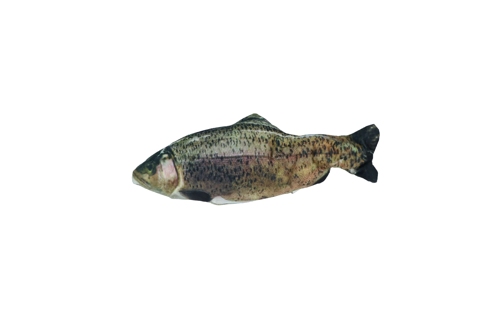 Beweglicher Spielfisch Forelle mit Madnip, 30 cm – Robocat Fish – Bild 2