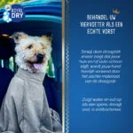 Mikrofaser Hundetrockensack XS, Rückenlänge 30 cm – Royal Dry Doggy Bag – Bild 6