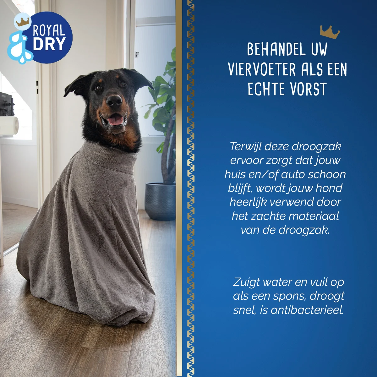 Hundetrockensack aus Mikrofaser L, Rückenlänge 75 cm – Royal Dry Doggy Bag – Bild 6