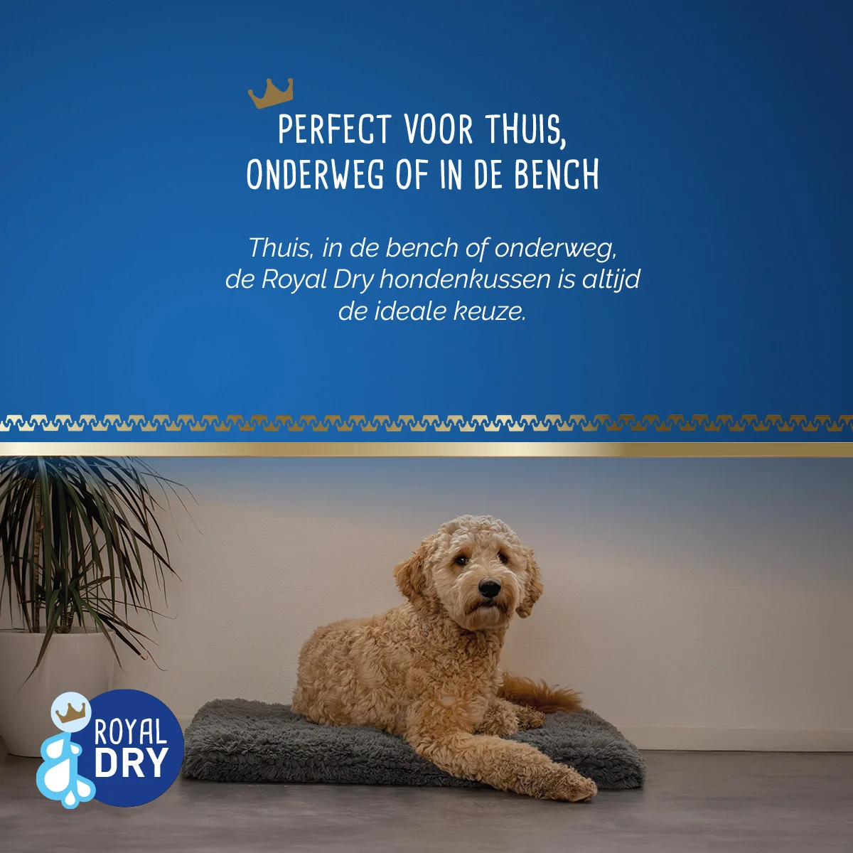 Hundekissen aus saugfähiger Mikrofaser, 58 x 91 cm – Royal Dry Pillow – Bild 6