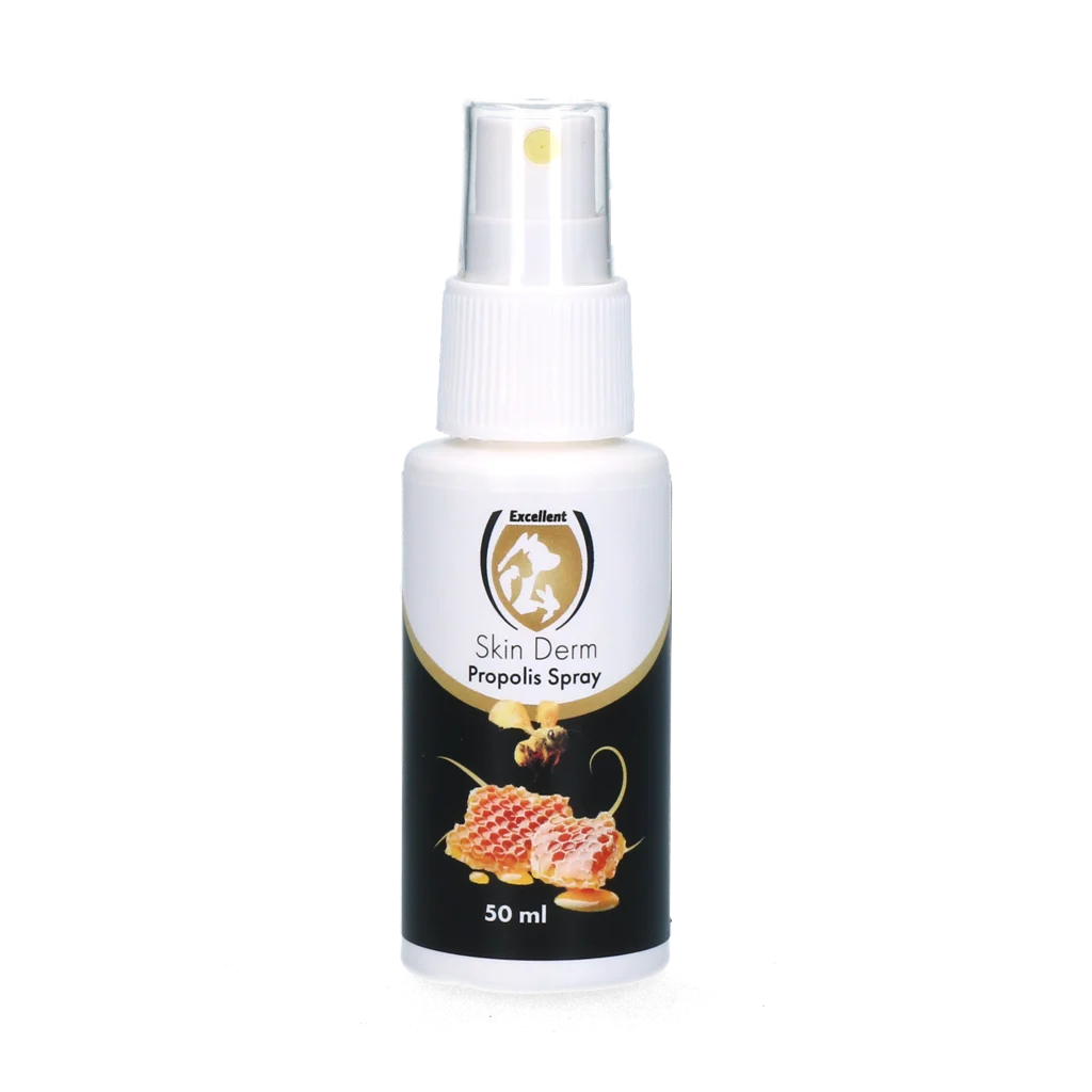 SKIN0172.png Hautspray mit Propolis, 50 ml – Excellent Skin Derm Propolis Spray – Bild 1