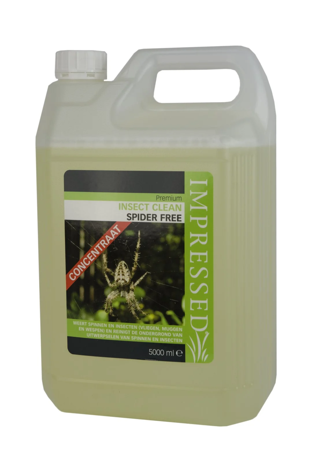 Spinnwebenreiniger Konzentrat 5 l – Impressed Web Free – Bild 2