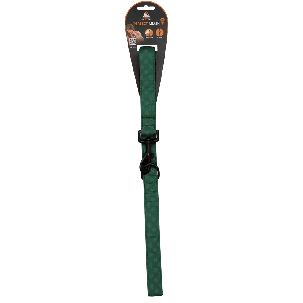 Hundeleine mit D-Ring, 120 cm, Grün – Spotted! Pro Perfect Leash – Bild 1