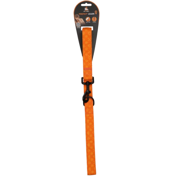 Hundeleine mit D Ring, 120 cm, Orange – Spotted! Pro Perfect Leash