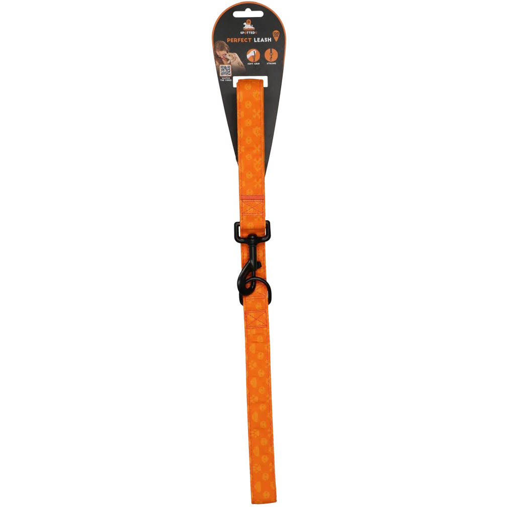 SPOT0014C.png Hundeleine mit D Ring, 120 cm, Orange – Spotted! Pro Perfect Leash – Bild 1