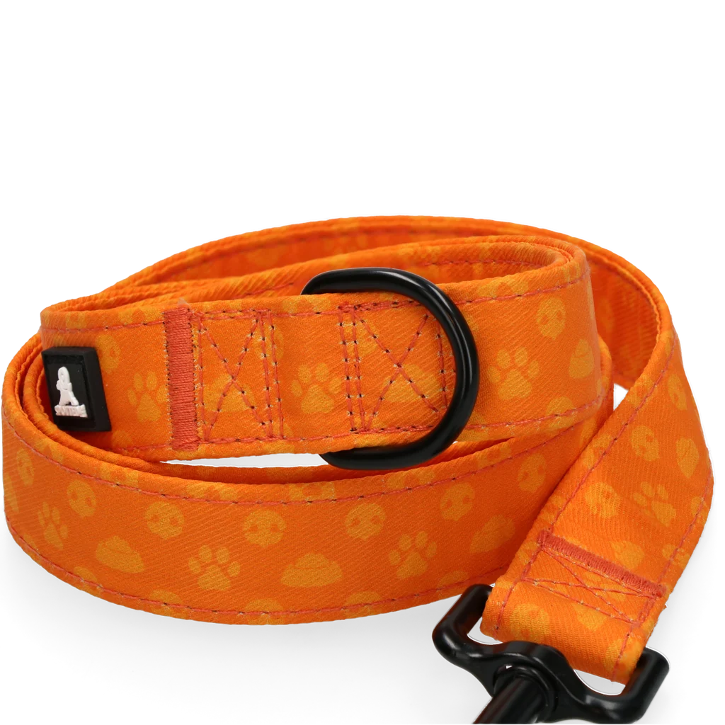 Hundeleine mit D Ring, 120 cm, Orange – Spotted! Pro Perfect Leash – Bild 3