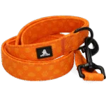 Hundeleine mit D Ring, 120 cm, Orange – Spotted! Pro Perfect Leash – Bild 4