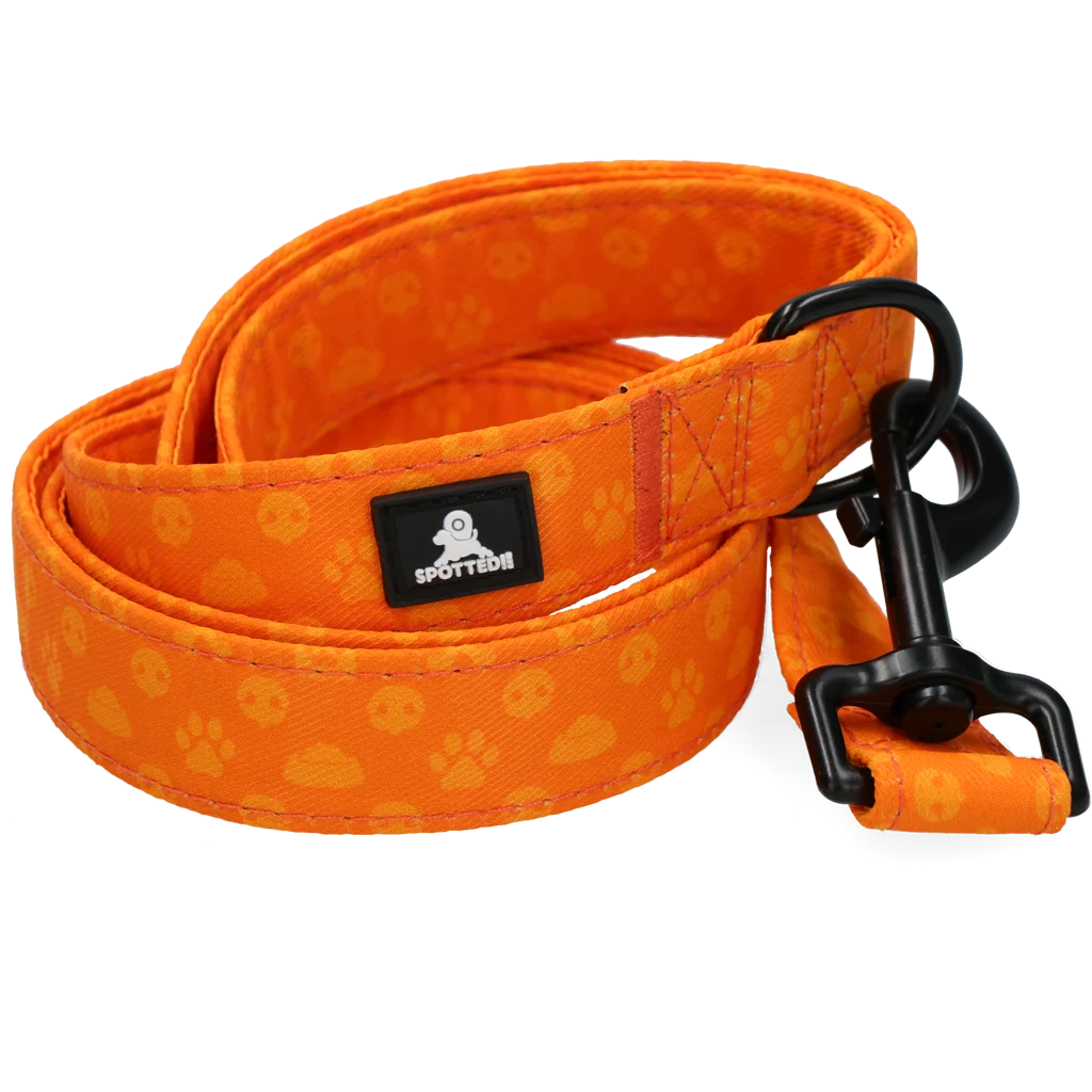 Hundeleine mit D Ring, 120 cm, Orange – Spotted! Pro Perfect Leash – Bild 4