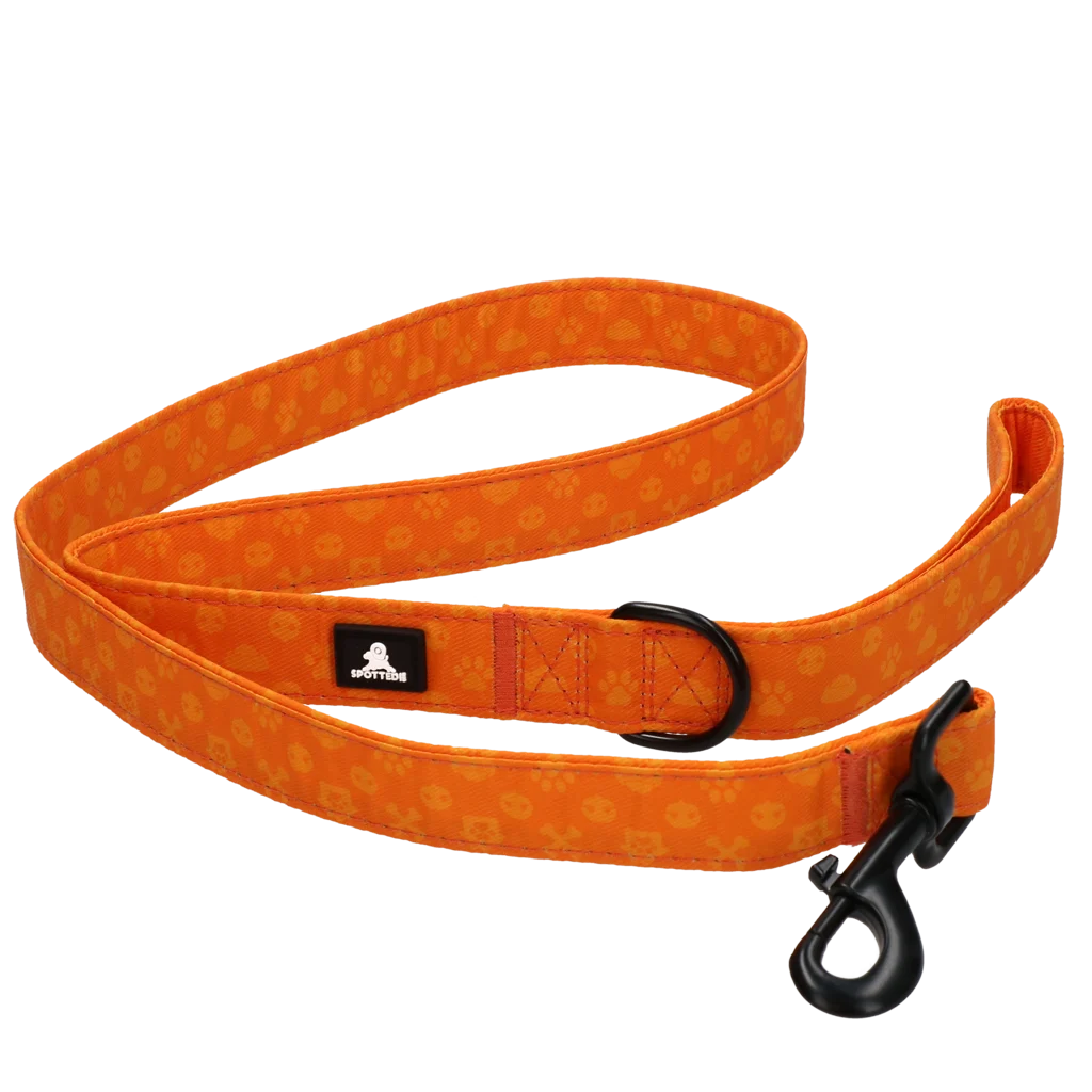 Hundeleine mit D Ring, 120 cm, Orange – Spotted! Pro Perfect Leash – Bild 5