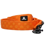 Hundeleine mit D Ring, 120 cm, Orange – Spotted! Pro Perfect Leash – Bild 2