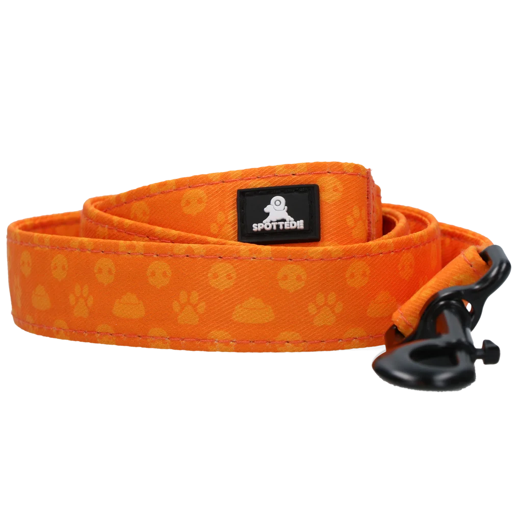 Hundeleine mit D Ring, 120 cm, Orange – Spotted! Pro Perfect Leash – Bild 2