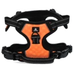 Hundegeschirr Anti Pull mit Griff, Orange XS – Spotted! Pro No Pull – Bild 3