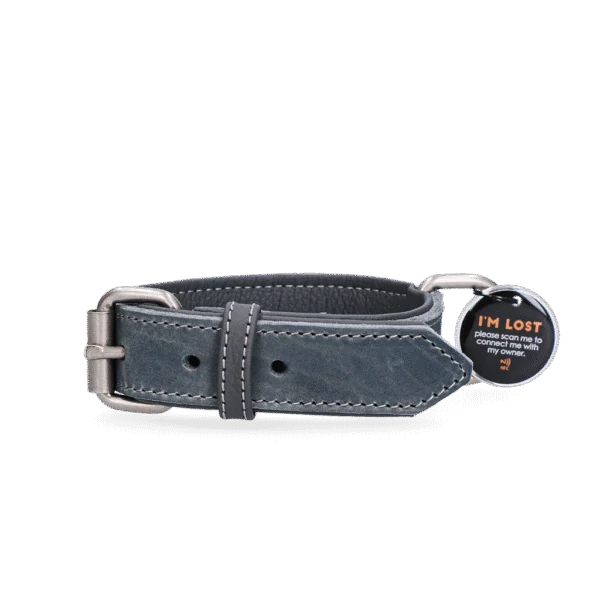Lederhalsband für Hunde mit digitaler Hundemarke, 50 cm, Grau – Spotted! Pro