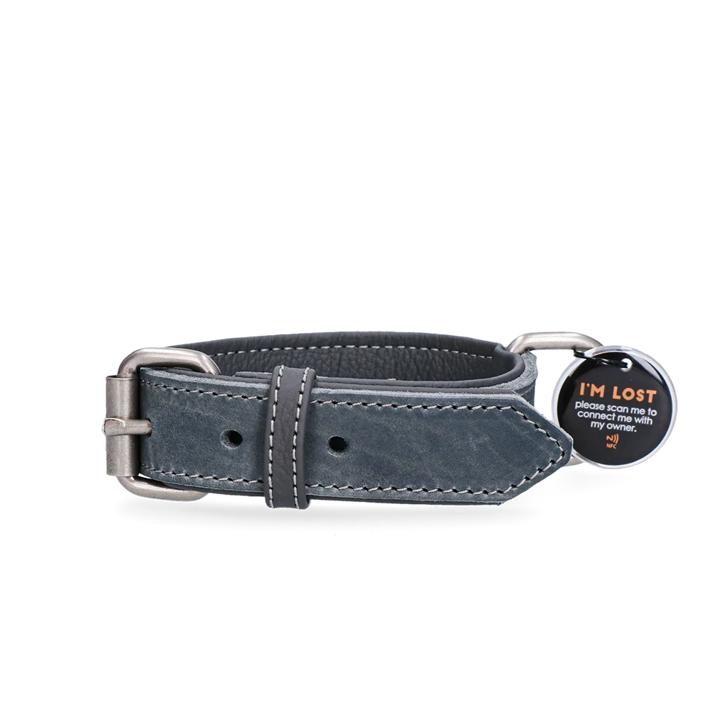 Lederhalsband für Hunde mit digitaler Hundemarke, 50 cm, Grau – Spotted! Pro – Bild 1